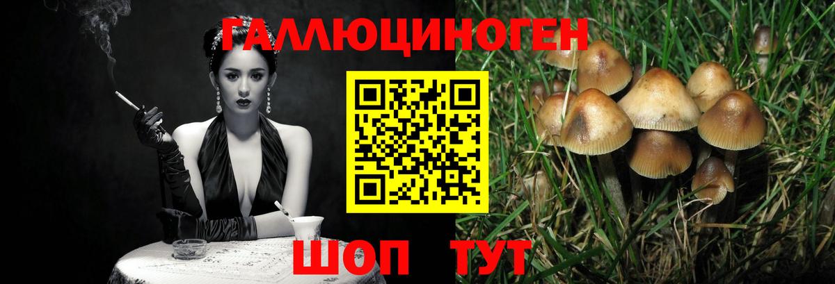 Галлюциногенные грибы мухоморы  Вход с VPN  Назарово 